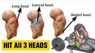 9 Best Triceps Workout for Every Head Hit all 3 heads  Fitkill [upl. by Ezana33]