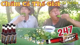 Chấm Tất Cả Hoa Quả Với Nước Ngọt Cafe 247 Mời Anh Em Cùng Trải Nghiệm Nhé l Sinh Tồn Tây Nguyên [upl. by Enomis]