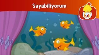 Sayabiliyorum  İki sayı Luli TV [upl. by Tillo]