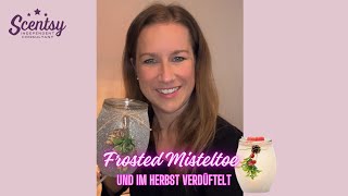 Scentsy Frosted Misteltoe und verdüftelt im Herbst [upl. by Ordnasil]