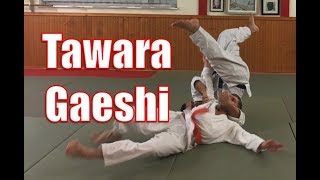 AIKIJUJUTSU  Tawara Gaeshi  Part 2  Applications [upl. by Eibrab]