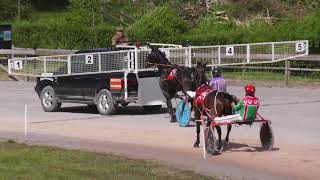 AMMAN VALLEY HARNESS RACES 1352018 BABY NOVICE RACE [upl. by Esela]