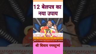 12 बेलपत्र का नया उपाय ।। panditpradeepjimishra shiv katha shiva [upl. by Adao]