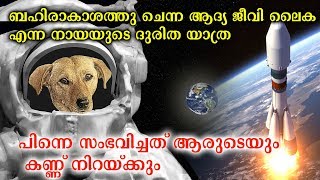 ബഹിരാകാശത്തു എത്തിയ ആദ്യ ജീവനുള്ള വസ്തു ലൈക എന്ന നായ  The Sad Story Of Laikha First Dog In Space [upl. by Lanctot]