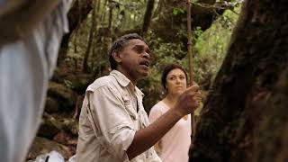 Voyages  Mossman Gorge  Short Clip  Discover Aboriginal Experiences  Tourism Australia [upl. by Gregrory791]