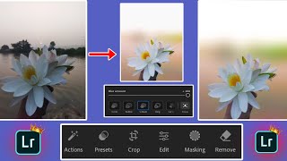 New ai tool features lightroom app 2024  Full hd blur background lightroom  Lightroom app 2024 [upl. by Ennyletak]