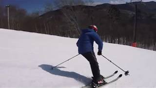 2020 Ski Test  Salomon QST 99 Skis [upl. by Icyac]