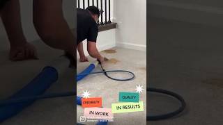 Deep Carpet Steam Cleaning Remove Stains and Revive Your Home professionalcarpetcleaning home [upl. by Gautea]