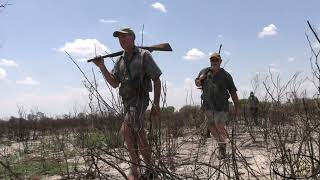 Elephant Hunting In Botswana With Quagga Safaris [upl. by Ruthi]