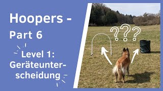 Hoopers  Part 6 I Hund lernt Geräteunterscheidung bei Hoopers I Differenztraining Hoopers I NADAC [upl. by Ardnuhs]