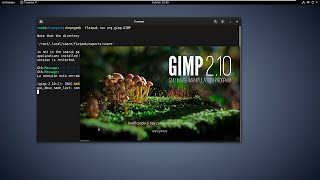 Como Instalar El Plugin Resynthesizer En Linux  Gimp 210 [upl. by Treulich]