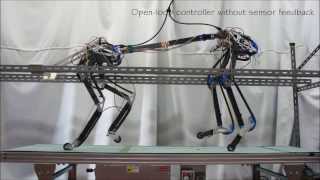 Pneupard A biomimetic quadruped robot [upl. by Mattheus]