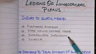 INJURIES OF LUMBOSACRAL PLEXUS  Lesions of Sciatic Tibial  common fibular nerves EASY NOTES [upl. by Hiltner]