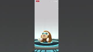 Pokémon Go Piloswine Evolves into Mamoswine [upl. by Rubliw]