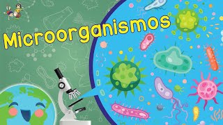 ¿Qué son los Microorganismos Videos Educativos para Niños [upl. by Gniw]