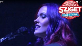 M83  Intro Live  Sziget Festival 2016 [upl. by Lombardi]