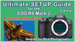 Canon EOS R6 Mark 2 The Ultimate 24 Hour Setup Guide Geared for Bird Photography [upl. by Annetta213]