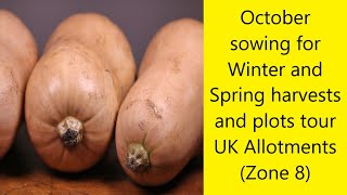 October  sowing for Winter and Spring crops Tour of plots UK Allotments Zone 8 [upl. by Hildagard]