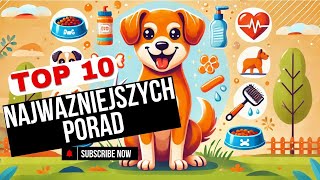 10 Najważniejszych Porad Jak Zadbać o Swojego Psa  Spraw by Był Szczęśliwy i Zdrowy [upl. by Boycey102]