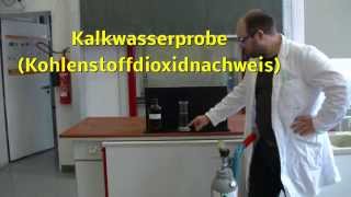 Kalkwasserprobe Kohlenstoffdioxidnachweis [upl. by Alleen]