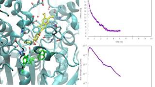 Binding event between Donepezil and Acetylcholinesterase [upl. by Sardse947]