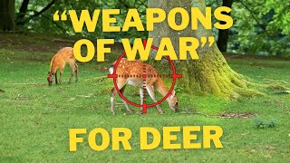 quotWeapons Of Warquot To Be Used For Deer Cull  A Lawyer Explains [upl. by Ecurb]