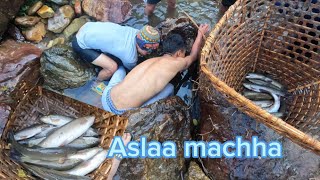 Fishing 🐟 in himlayan River of nepal 🇳🇵aslaa machha traditional waycountryside part 2 🤗 [upl. by Hniv]