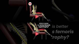 Which is better for rectus femoris hypertrophy [upl. by Enelram]