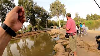 Park Yarkon 1452022 Telapia Musht [upl. by Rehtul]