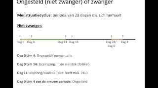 Ongesteld of zwanger [upl. by Neisa829]