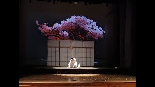 Un bel dì vedremo  Giacomo Puccini Madama Butterfly [upl. by Naejamron]