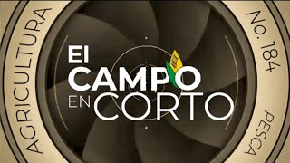 Noticiero ElCampoEnCorto 184 [upl. by Ecienaj]