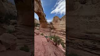 Hickman Bridge in Capitol Reef National Park capitolreef hiking [upl. by Treve]