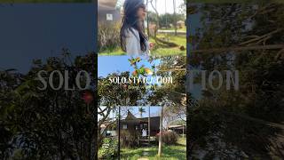 Solo Staycation  Glamp Wilderness  Bangalore Resort  minivlog bangalorevlog [upl. by Corbin]