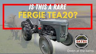 Ferguson TEA20 HOW RARE IS THIS TRACTOR  Down at the barns te20 [upl. by Auqenaj]