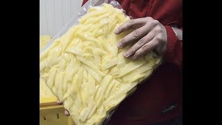 Frite Surgelé مشروع ناجح و مربح Made In Algeria [upl. by Jezabel823]