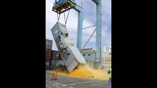 Maersk ddgs container unloading [upl. by Nahk]