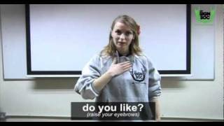 Basic Phrases in Irish Sign Language 01 [upl. by Assirod]