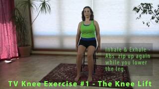 Resolving Knee Pain  Knee Strengthening Exercise  Seated Knee Lift [upl. by Hoagland362]