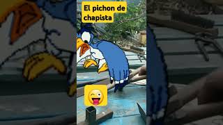 El pichon de chapista [upl. by Howlond]