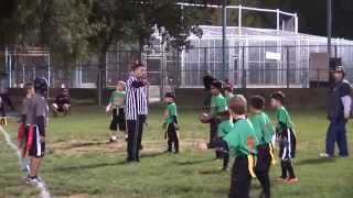 11 12 14 RAIDERS vs DOLPHINS Valley Wide Flag Football [upl. by Hilel953]