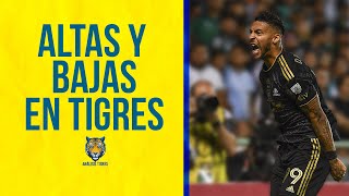 Futbol de Estufa Altas y bajas en Tigres para el Clausura 2024 [upl. by Nylsirk35]