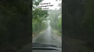 travel Bandhavgarh national park in rainy season bandhavgarh nationalpark punjabisong shorts [upl. by Anamor]