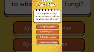 Kingdom Fungi  Biological Classification  Class11 Biology neet biologicalclassification quiz [upl. by Davida]