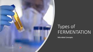 Types of FERMENTATION  Fermentation  What is fermentation [upl. by Elenahc]