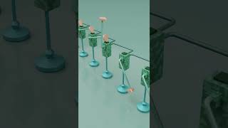 Severe Discipline  Short looping Animations  Blender 3D animation shortvideo [upl. by Finkelstein]