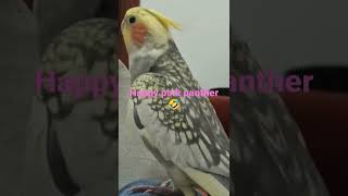 a happy cockatiel singing the pink panther 🤣🤣 كلوبسيت يغني النمر الوردي [upl. by New129]