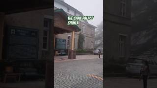 The palace  Chail Shimla🥰🥰ytshortsyoutubeshortsshortshimachaltravelnaturecouplebeauty [upl. by Eyllib]