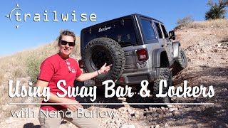 Trailwise  Sway Bar amp Lockers Explained [upl. by Hasheem784]