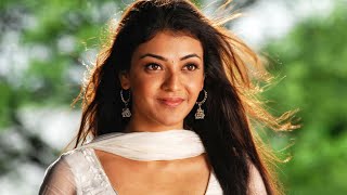 Naayak l Kajal Aggarwal l Action Superhit Movie l Ram Charan Amala Paul Pradeep Rawat Rahul Dev [upl. by Rhona]